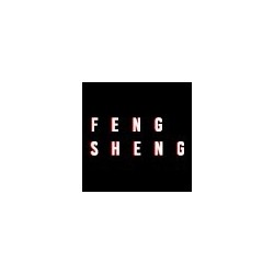Feng Sheng
